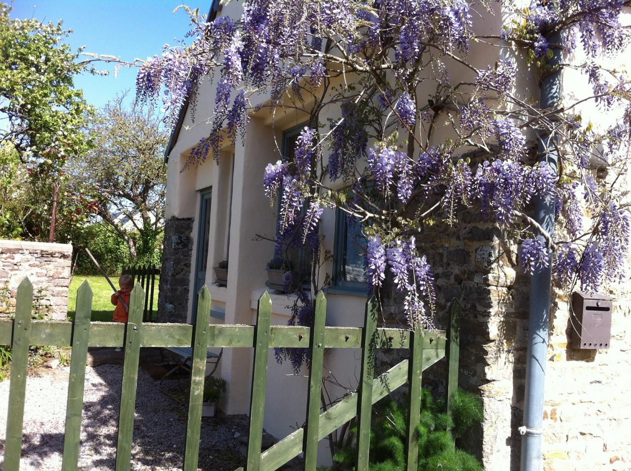 la glycine