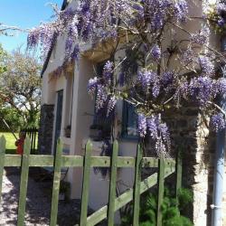 la glycine